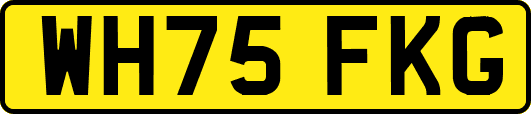 WH75FKG