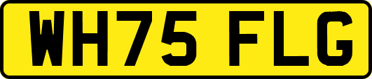 WH75FLG