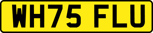 WH75FLU