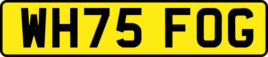 WH75FOG