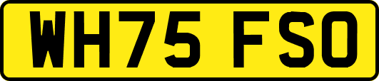 WH75FSO