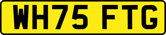 WH75FTG