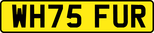 WH75FUR