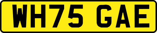 WH75GAE