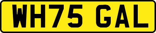 WH75GAL