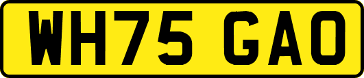 WH75GAO