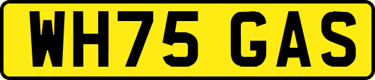WH75GAS