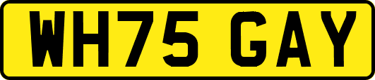 WH75GAY