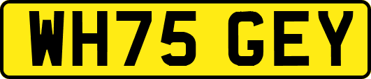 WH75GEY