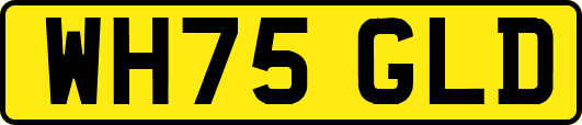 WH75GLD