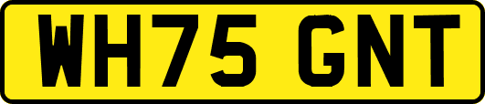 WH75GNT