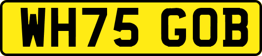 WH75GOB
