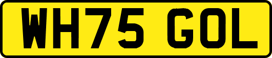 WH75GOL
