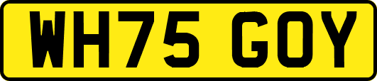 WH75GOY