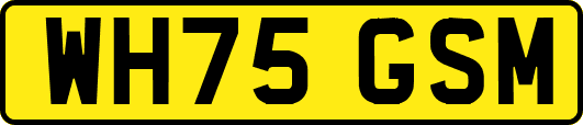 WH75GSM