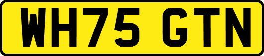 WH75GTN