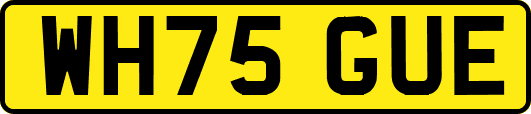 WH75GUE