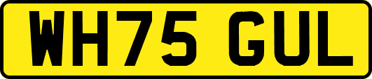 WH75GUL