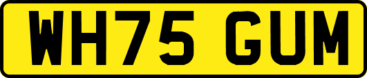WH75GUM