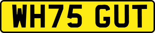 WH75GUT