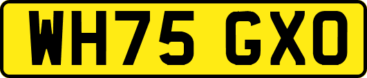 WH75GXO