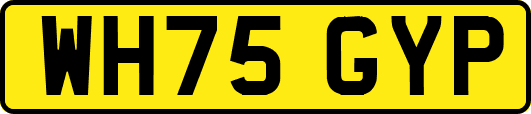 WH75GYP