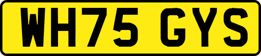 WH75GYS