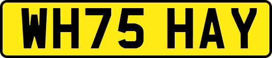 WH75HAY
