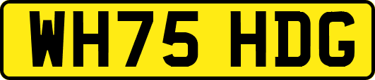 WH75HDG