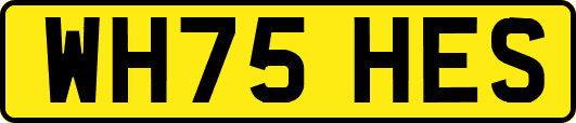 WH75HES