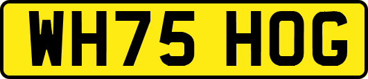 WH75HOG