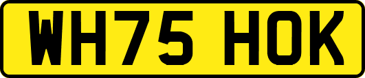 WH75HOK
