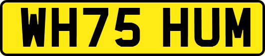 WH75HUM