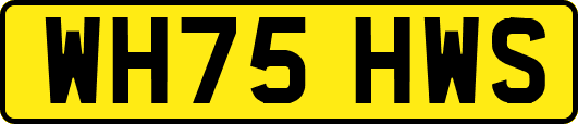 WH75HWS