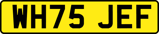 WH75JEF