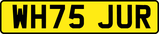 WH75JUR