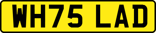 WH75LAD