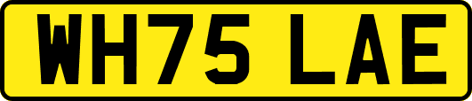 WH75LAE