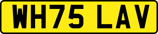 WH75LAV