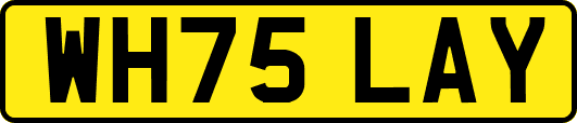 WH75LAY