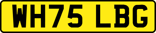 WH75LBG