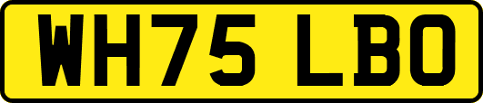 WH75LBO