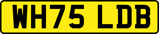 WH75LDB