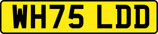 WH75LDD