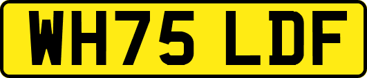 WH75LDF