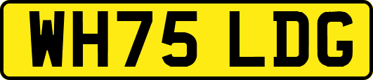 WH75LDG