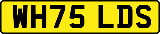 WH75LDS