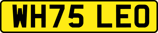 WH75LEO