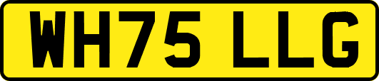 WH75LLG