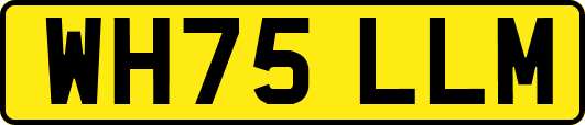 WH75LLM